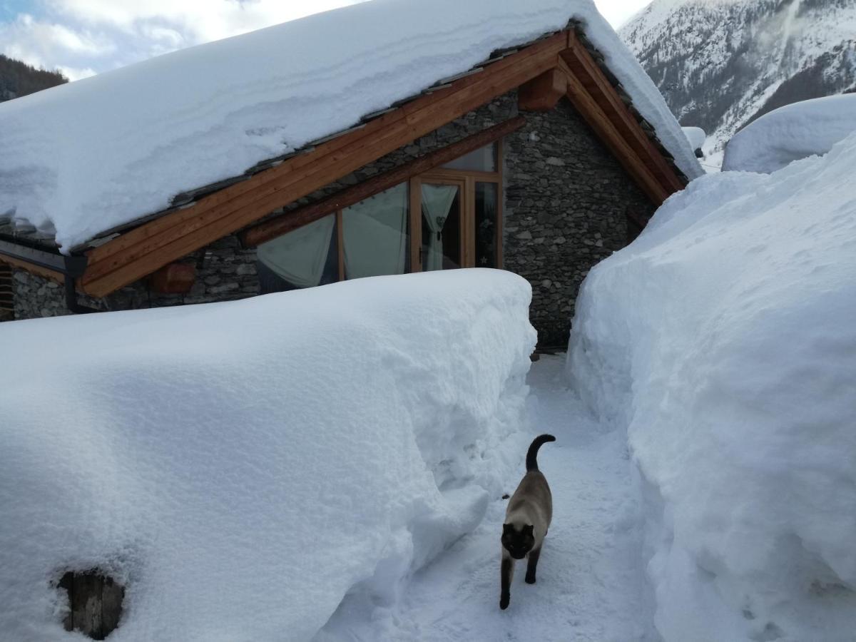 Casalpaca B&B Con Sauna A プラーリ エクステリア 写真